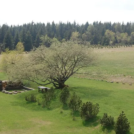 Jan מלון Moldava